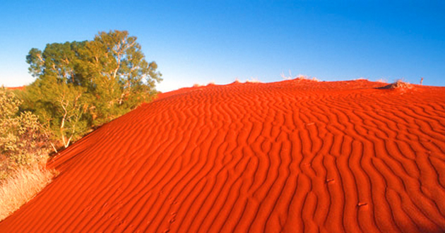 Red Sand Dune